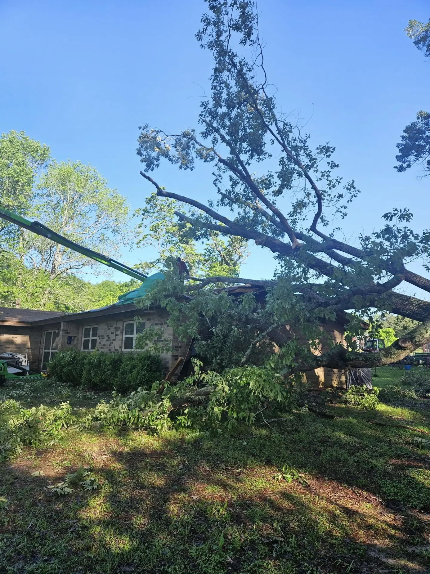 Emergency removal of a massive tree that fell across the roof of a brick home in Overton, Texas