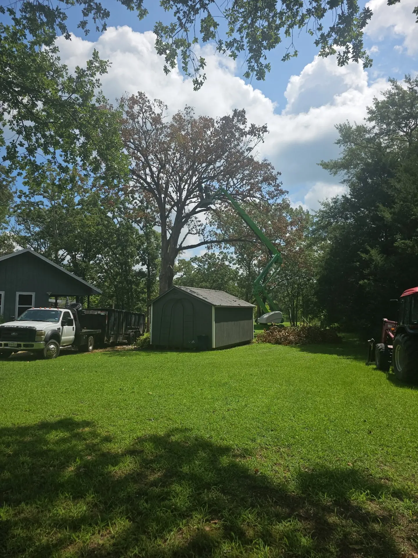 Boom lift reaching into the upper canopy of a dying tree behind a storage shed in Overton, Texas