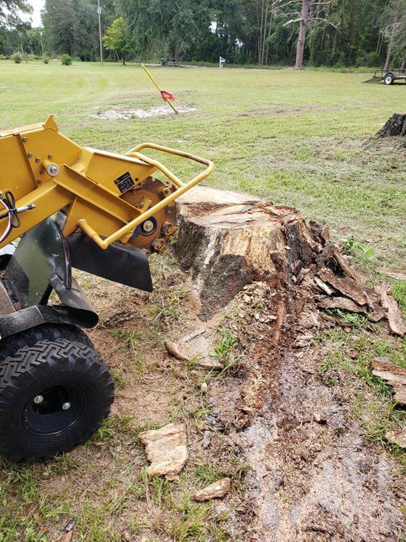Stump grinder machine grinding a large tree stump down